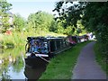 Trent and Mersey Canal, Stone