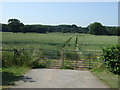 Field entrance off the A461