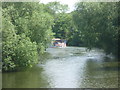 Paddle boat on the Medway