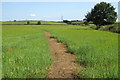 SP8126 : Footpath to Blackland Farm by Philip Jeffrey