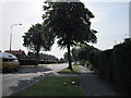 Northolme Road, Hessle