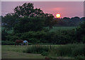 Sunset, Cocking Causeway, West Sussex