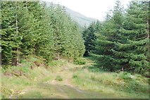 NN2501 : Forestry road in Coilessan Glen by Patrick Mackie
