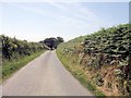 Minor road east of Caerfyrddin-fach