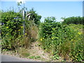 Footpath leading off North Pole Road