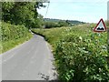 Uneven road surface sign, Small Bridge Road