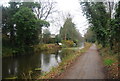 Basingstoke Canal