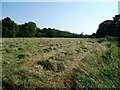 Footpath across a hay field, Wittersham