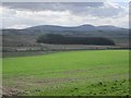 Arable land, Old Bewick