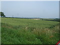 Crop field off the A514