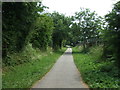 Cycle trail heading south 