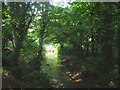 River Len, near Bearsted