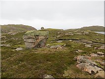 HU3063 : Granite boulder, Rusness by Richard Webb
