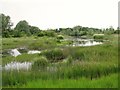 Small lake near High Clarence