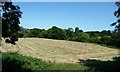 TQ8733 : Hay field, west of Tenterden Station by Christine Johnstone