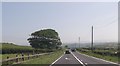 A487 approaching entrance to Caravan Park