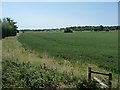 TQ8632 : Footpath stile at the edge of a wheatfield by Christine Johnstone
