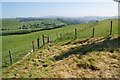 Fields at Mynydd Bach