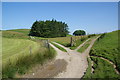 Junction of tracks near Tan-y-cwarel