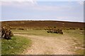 Looking up Ley Hill