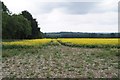 SU4255 : Farmland by Beech Hanger Copse by Mr Ignavy