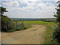 Field near Castlebythe