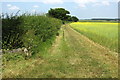 Bridleway towards Grange Farm