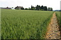 Footpath to the Newport Road by Grange Farm