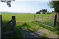 Field near Tan-y-graig