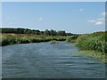 TQ8025 : Confluence of the River Rother and the Kent Ditch by Christine Johnstone