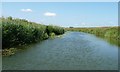 TQ7925 : River Rother, East Sussex by Christine Johnstone