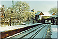 Gipsy Hill station in January 1982 freeze-up