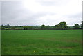 Farmland by the Tandridge Border Path