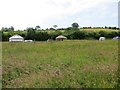 Yurts and tents