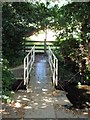 Footbridge across Guilsfield Brook