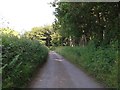 Lane heading along the edge of Knowle Plantation