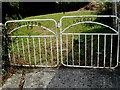 Whitson and Goldcliff Silver Jubilee gates