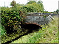 Whitson Arch Bridge