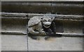 TF1444 : Carved animal, St Andrew's church, Heckington by Julian P Guffogg