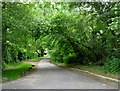 Lodge Hill Lane, Ditchling