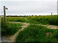 Public footpath, North Portslade