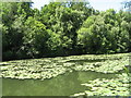 Lennoxwood Lake