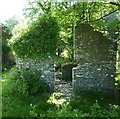 Ruined building near Trewitten