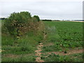 Footpath heading west off Branston Road