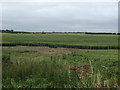 Crop field , Canwick Heath Farm