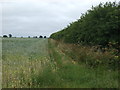 Farm track off Bloxholm Lane