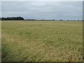 Farmland south of Ram Farm