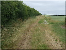 TF0163 : Farm track off Bloxholm Lane by JThomas