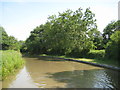 Ashby Canal: Reach in Hinckley