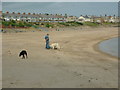 Newbiggin-by-the-Sea